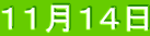 １１月１４日